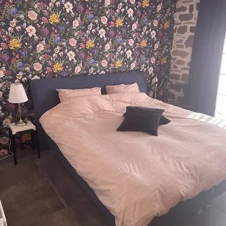 Maison La Pierre Du Lezard Nature Auvergne-rhone-alpes Vakantiehuis Laurie