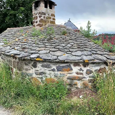 Semesterbostad Maison La Pierre Du Lezard Nature Auvergne-rhone-alpes *