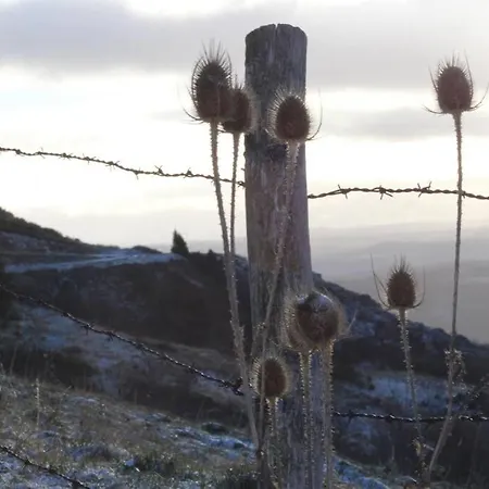 Maison La Pierre Du Lézard Nature Auvergne-rhône-alpes Laurie