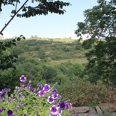 Vakantiehuis Maison La Pierre Du Lezard Nature Auvergne-rhone-alpes *