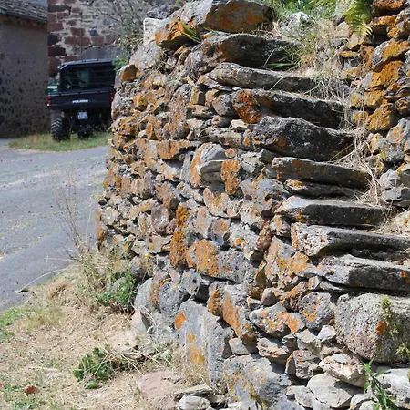 Vakantiehuis Maison La Pierre Du Lezard Nature Auvergne-rhone-alpes