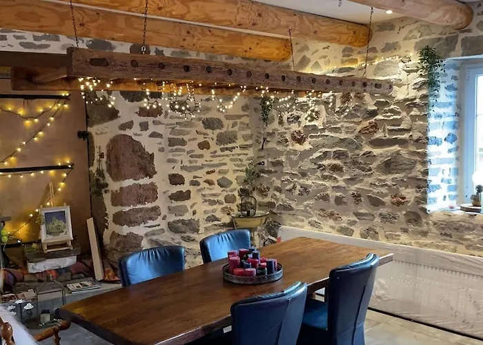 Maison La Pierre Du Lezard Nature Auvergne-rhone-alpes *