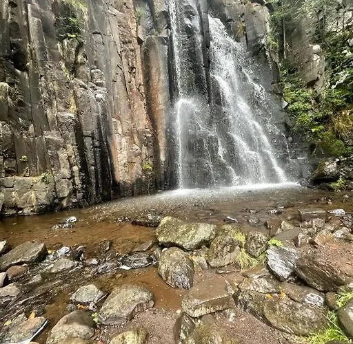 Maison La Pierre Du Lezard Nature Auvergne-rhone-alpes * Laurie