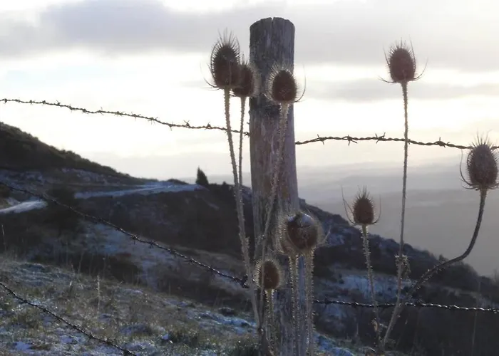 Maison La Pierre Du Lezard Nature Auvergne-rhone-alpes Laurie