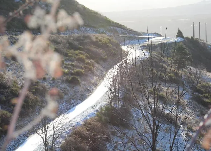Maison La Pierre Du Lezard Nature Auvergne-rhone-alpes * Laurie