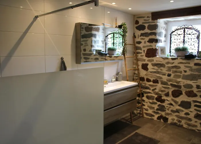 Prázdninový dům Maison La Pierre Du Lezard Nature Auvergne-rhone-alpes