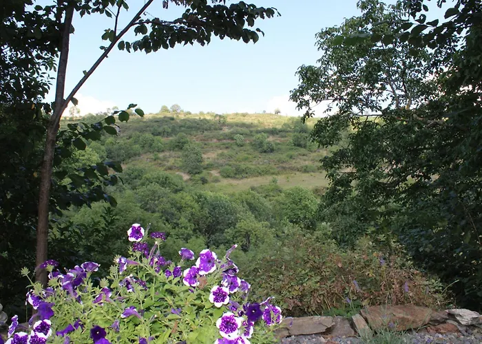 Prázdninový dům Maison La Pierre Du Lezard Nature Auvergne-rhone-alpes *